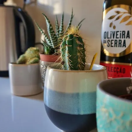 Zentrale Und Helle Ferienwohnung Mit Terrasse * Lisboa